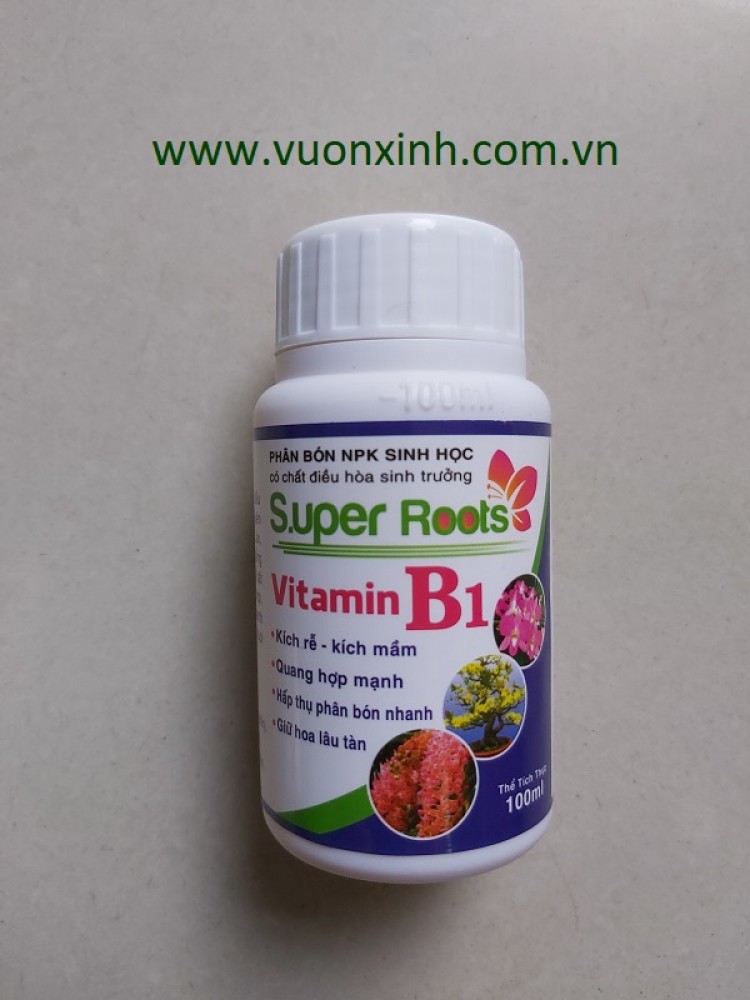 Supper Roots - Vitamin B1