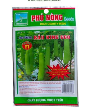 Bầu King 668