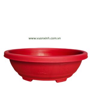 Chậu Bonsai Ovan 42