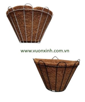 Chậu dừa ốp tường 24x19