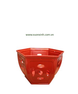 Chậu Lan giả đất Đồng Tiền 1 tấc 8