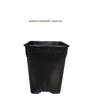 Chậu vuông cao 23x28