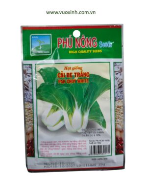 Cải bẹ trắng