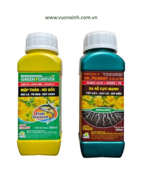 Cặp chuyên cho Mai AC HUMAT & GREENFOREVER