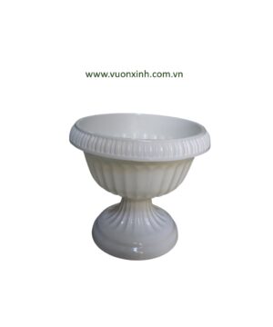 Chậu Đế Ly 30-28