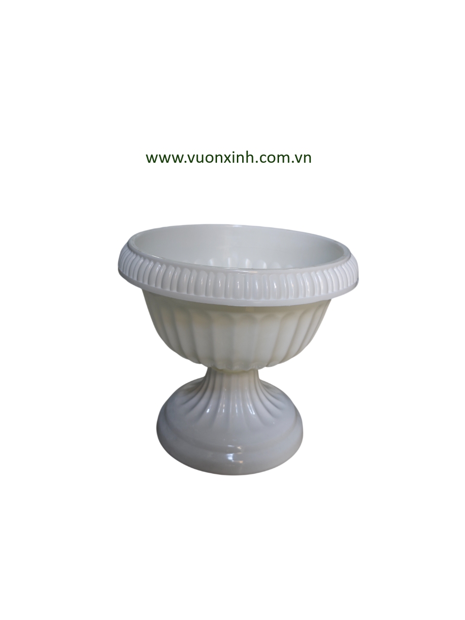 Chậu Đế Ly 30-28