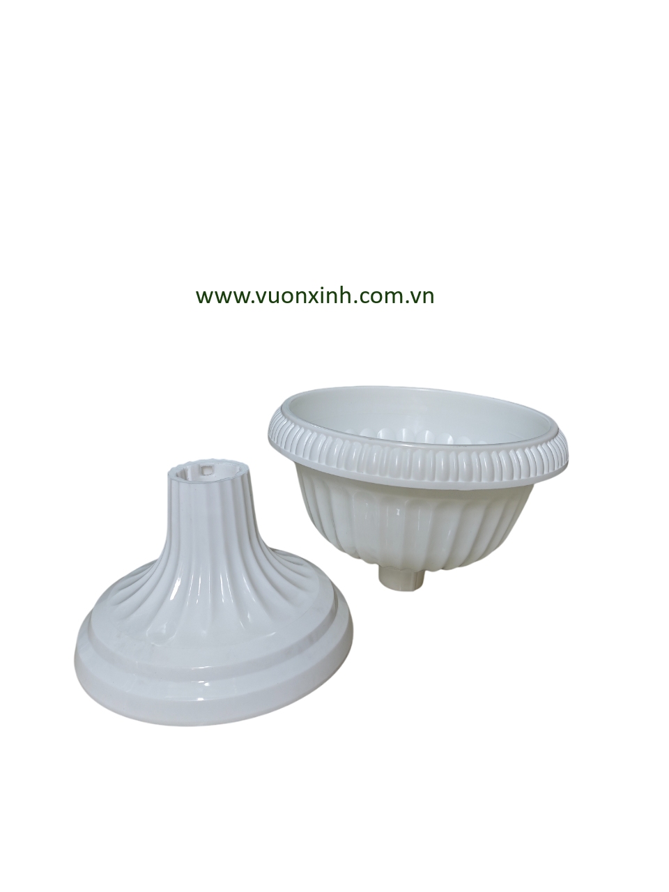 Chậu Đế Ly 30-33 - Ảnh 2