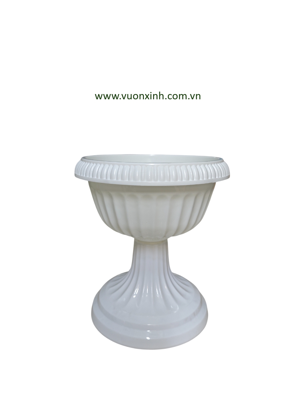 Chậu Đế Ly 30-33