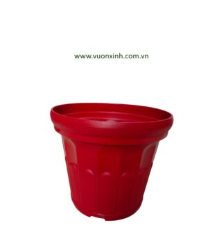 Chậu Hoa Cúc 32 Màu