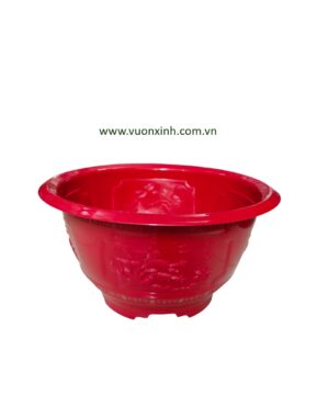 Chậu Truyền Thống TỨ QUÝ số 05