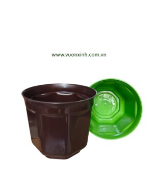 Chậu bát giác miệng tròn 18x16 Màu