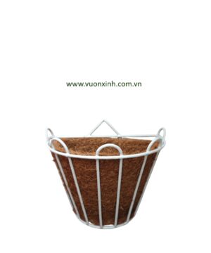 Chậu dừa ốp tường 24x19