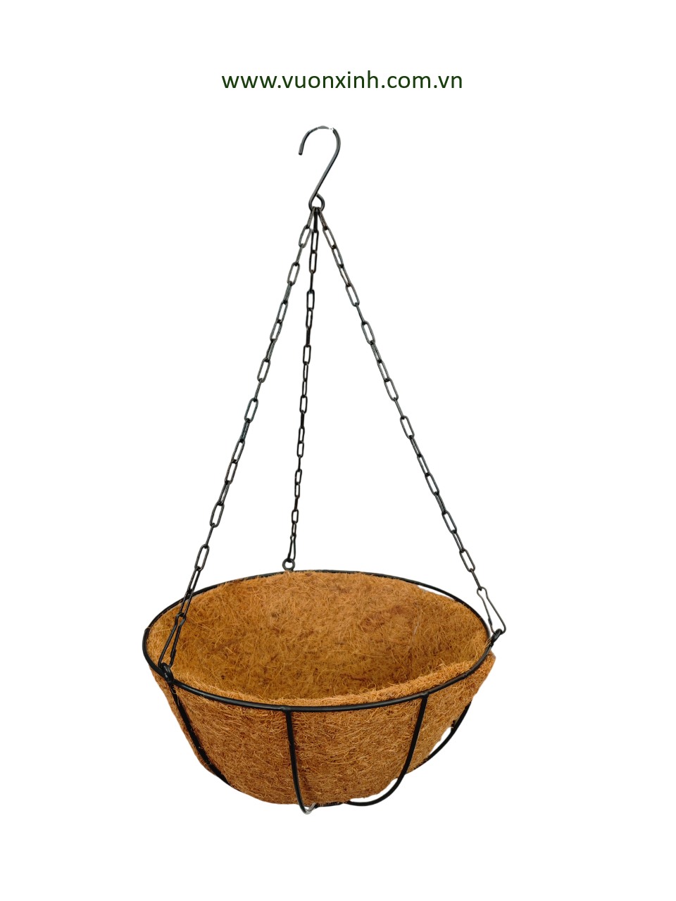 Chậu dừa treo Hoa Sen