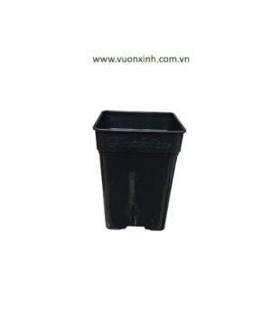 Chậu vuông cao 14x19