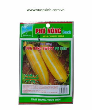 Dưa Gang Sweet PN 666