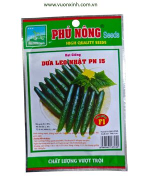 Dưa Leo Nhật PN-15