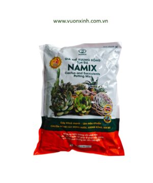 Gía thể Xương Rồng Sen Đá Namix-2dm