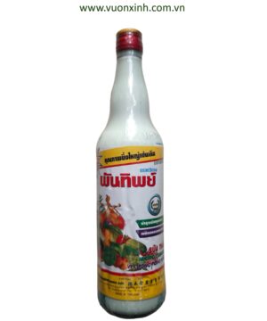 GROWMORE HỮU CƠ ROOTONE (SỮA THÁI)