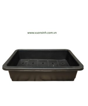 Khay nhựa trồng rau Đen BL_65.42.16