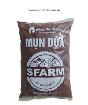 MỤN DỪA ĐÃ QUA XỬ LÝ SFARM_5dm