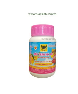 ĐẦU TRÂU 901 (DƯỠNG HOA LÂU TÀN)