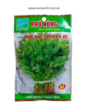 Ngò Bạc Liêu PN 07