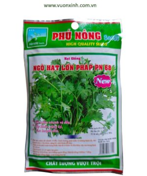 Ngò Hạt lớn Pháp PN68