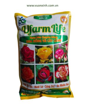 Phân bón chuyên Hồng UFARM LIFE