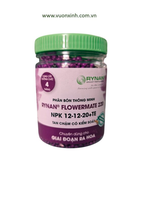 Phân tan chậm rynan 12-12-20+TE (150gr)