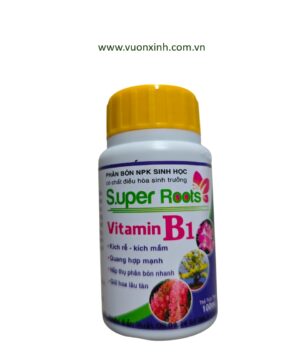 Super Roots - Vitamin B1