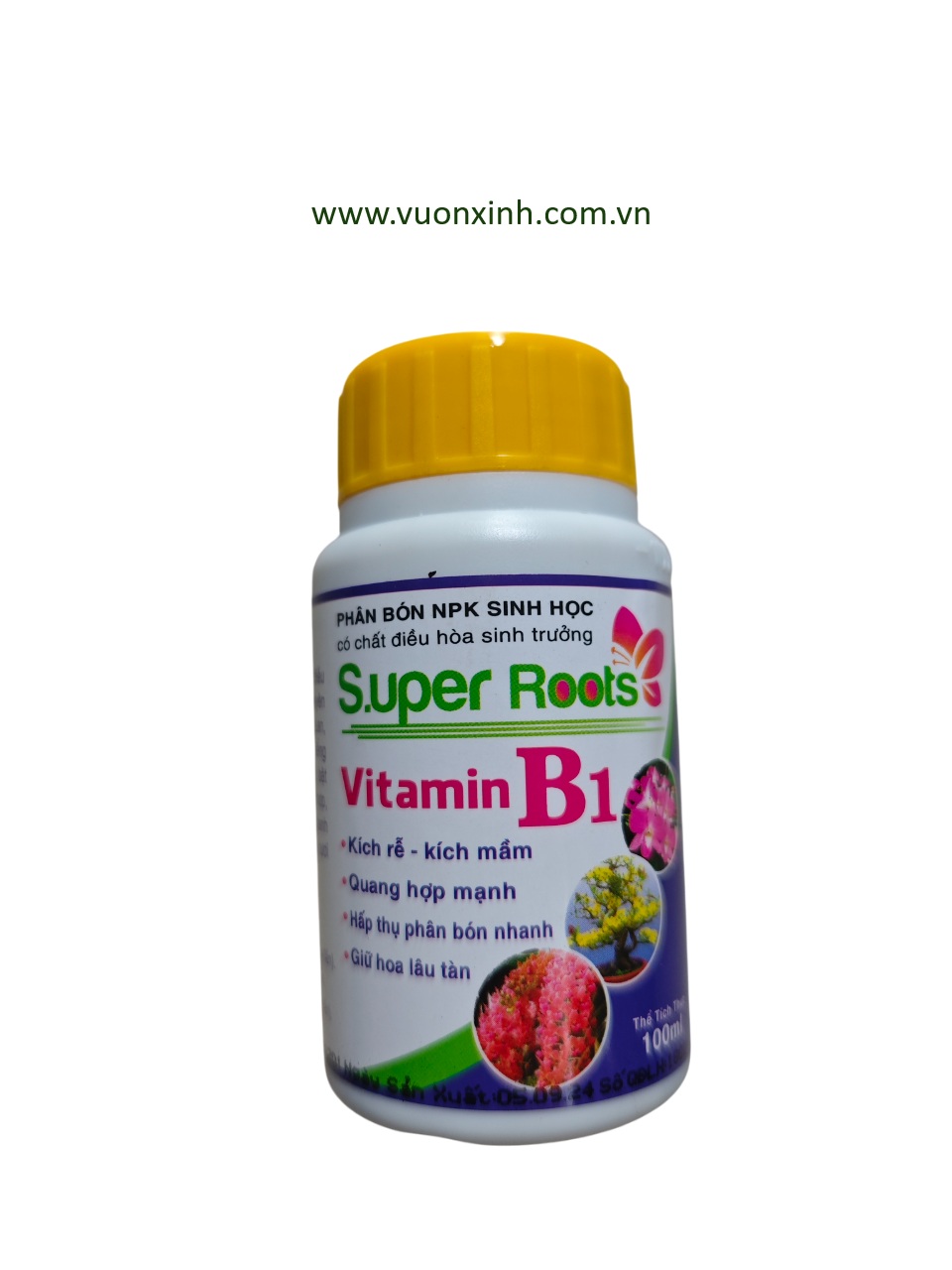 Super Roots - Vitamin B1