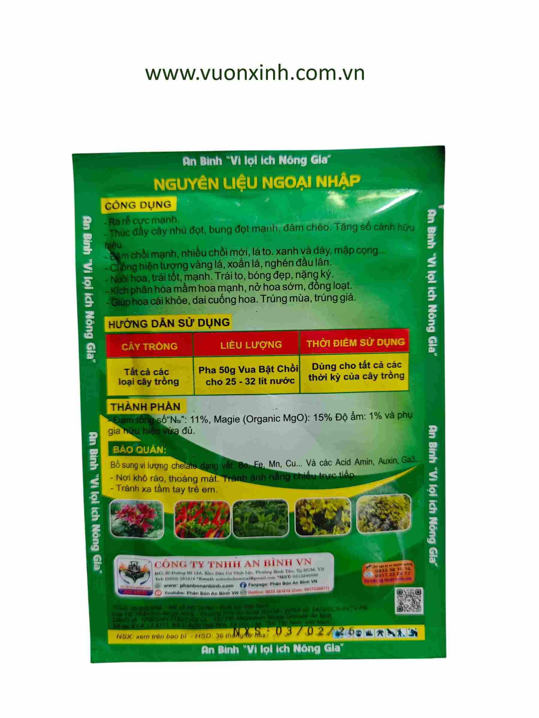 Vua Bật Chồi - Ảnh 2