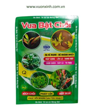 Vua Bật Chồi