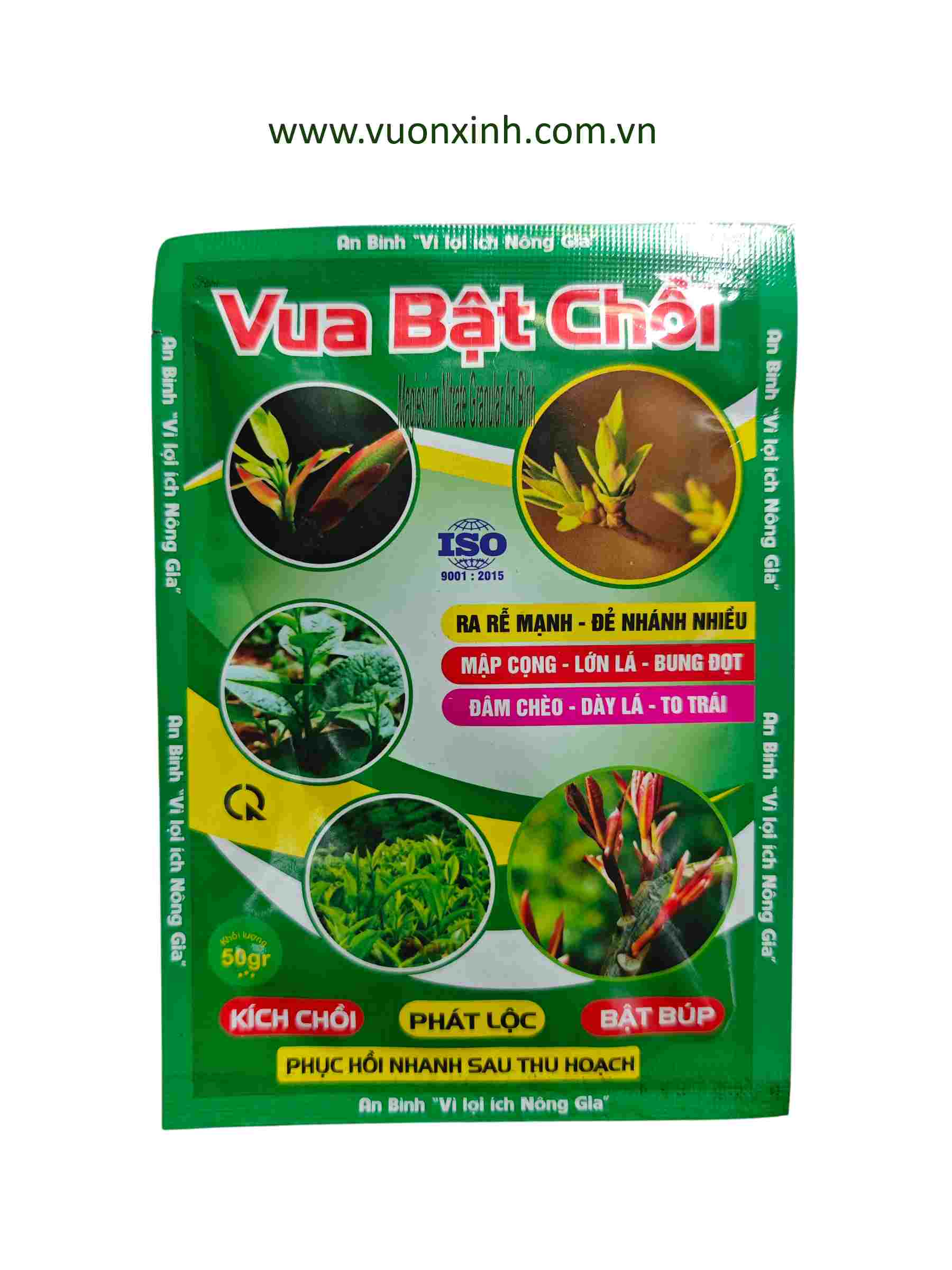 Vua Bật Chồi