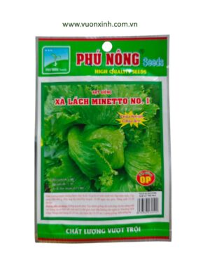 Xà Lách Minetto No.1