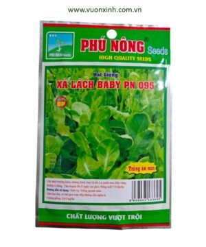 Xà lách ăn non baby PN-095