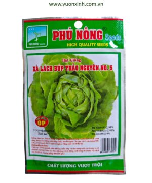 Xà lách búp Thảo Nguyên NO.5