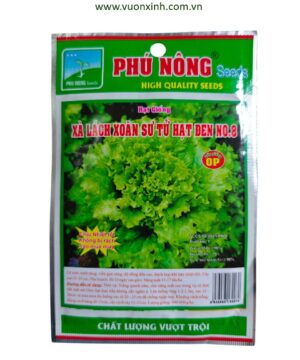 Xà lách xoăn sư tử  hạt đen