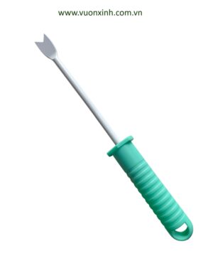 Xiền làm vườn_TAKAYO