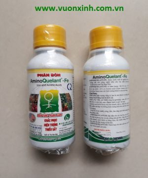 AminoQuelant - Fe