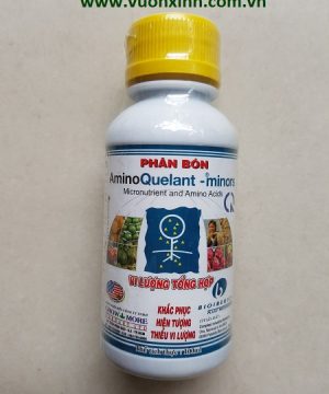AminoQuelant -Minors_100ml
