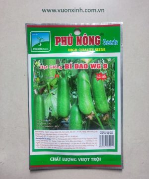 Bí Đao WG 9