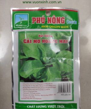 Cải mơ Hoàng Mai