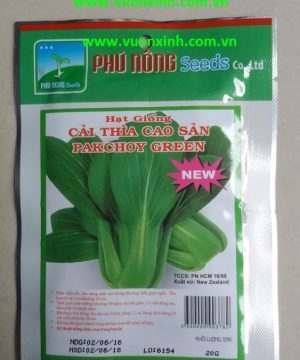 Cải thìa cao sản PN