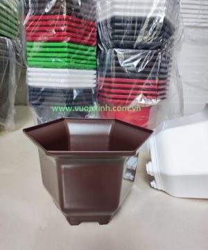 CHẬU LỤC GIÁC BẦU 36 MÀU