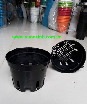 Chậu nhựa trồng lan_Phi 14