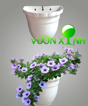 Chậu ốp tường 20-11-18