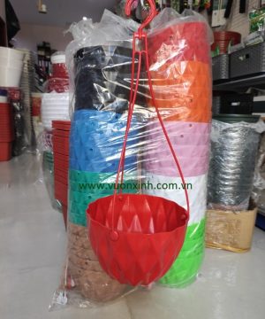 Chậu treo dáng kim cương