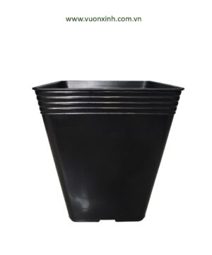 Chậu vuông cao 34x39