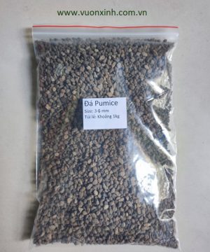 ĐÁ PUMICE (đá bọt) size 3-6 (1 kg)